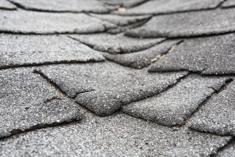 Close-up of a brown asphalt shingle roof, with a blurred background of trees.