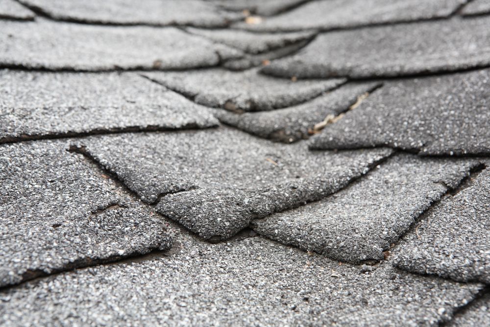 Close-up of a brown asphalt shingle roof, with a blurred background of trees.