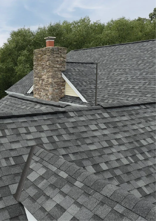 Gray shingled roof with a stone chimney. Trees in the background. Cloudy sky.