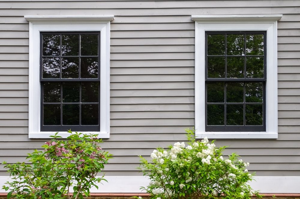Two white-framed windows on gray siding above flowering shrubs